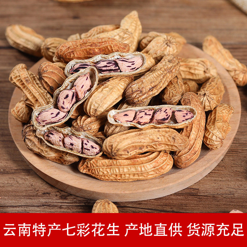 云南七彩花生特产带壳花生米2025年新货水洗晒干野地花生产地直供