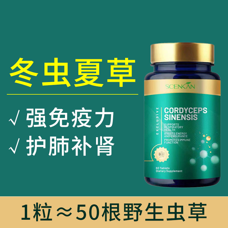 美国scenkan冬虫夏草精华片虫草菌丝体非胶囊强免疫力咳补肺肾