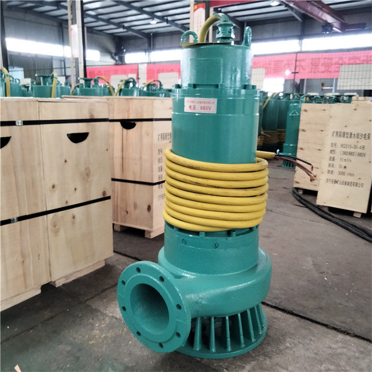 矿用防爆泵bqs22kw污水泵排污排沙潜水电泵380v660v1140v大扬程泵