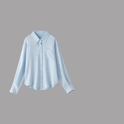 大洪官方色彩哲学通勤纯色衬衫女