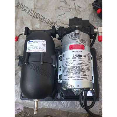功能正常议价 美国全新进口SHURflo（赛福乐)房车专用水泵改装车1
