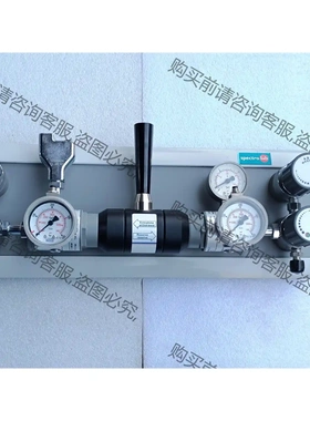 德国spectro lab自动切换汇流排减压阀 实物照片， 先议价 拆机货