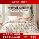 富安娜家纺七孔抗菌化纤被四季 被春秋被被芯宿舍学生冬厚被加厚被