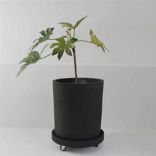 圆形带万向轮仿水泥底托移动花盆接水托盘防水防漏盆景垫底座定制