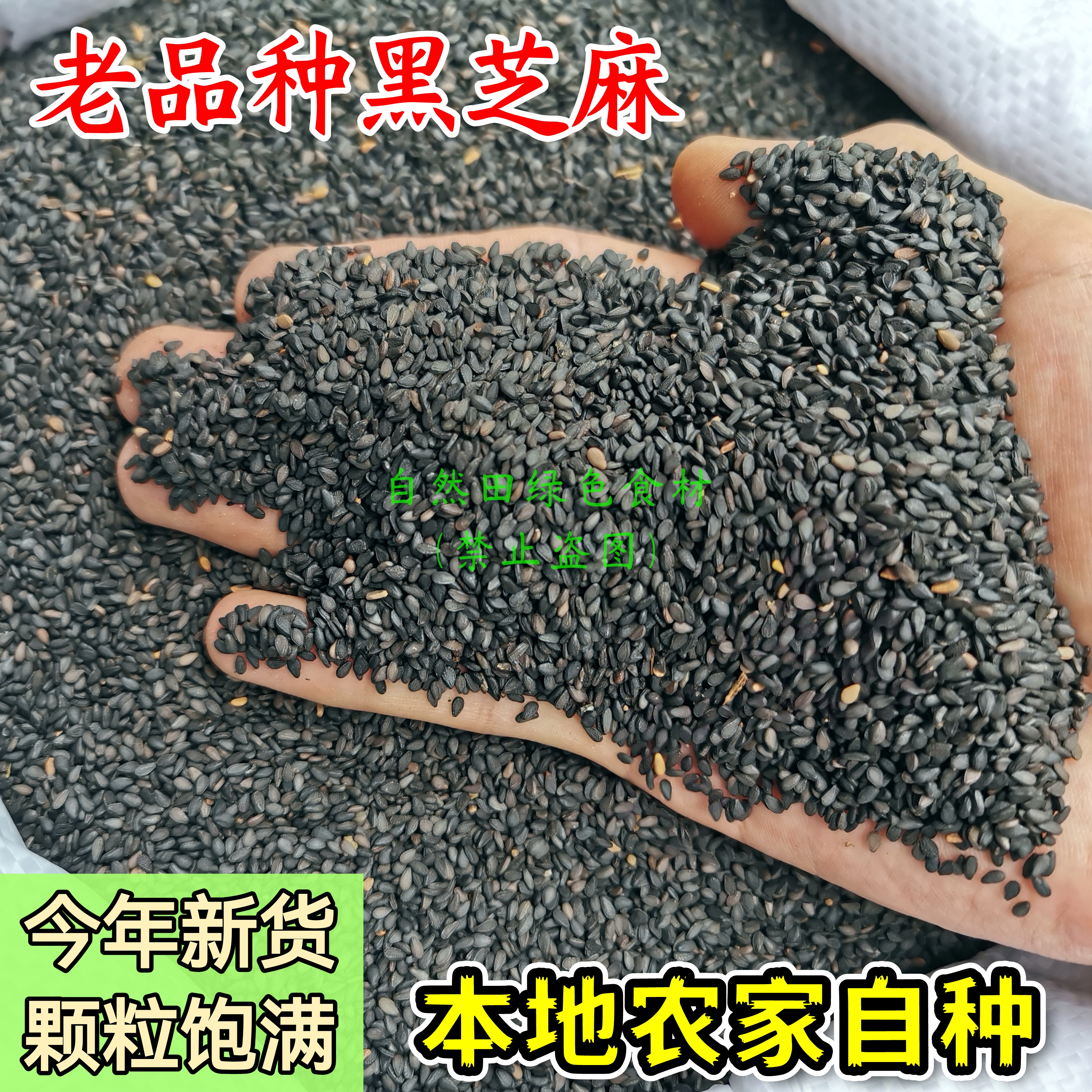 农家生黑芝麻老品种当年新黑芝麻小粒无抛光鸽粮自然本色老式非转