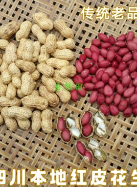 四川老品种红皮花生农家自留老品种晒干传统土花生老式非转可发芽