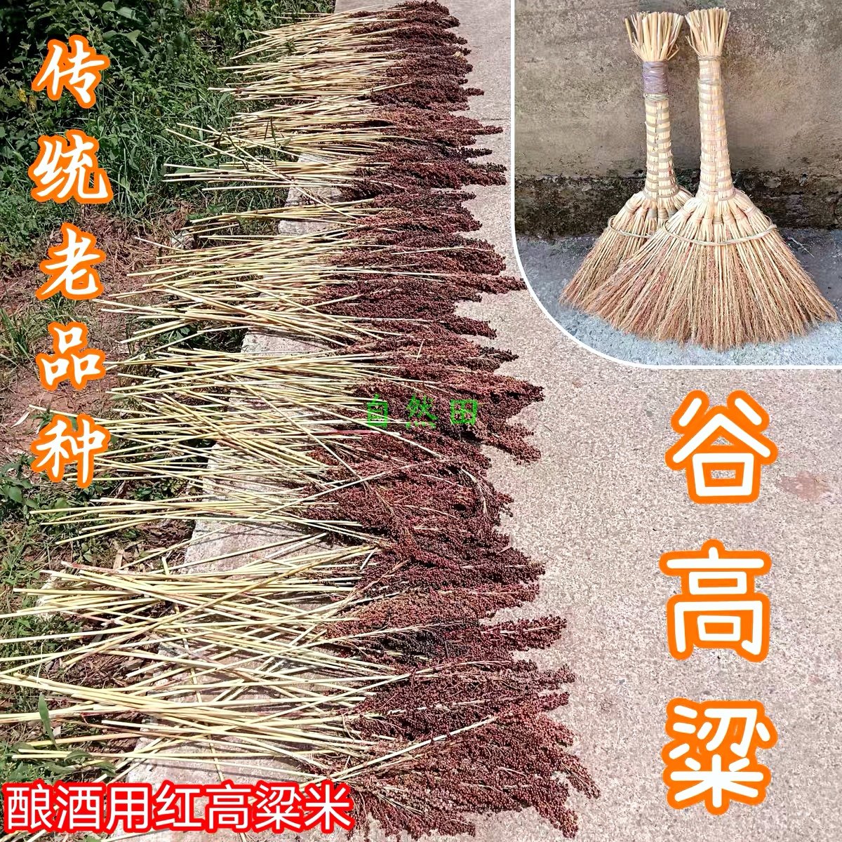 老品种红高粱米本地农家自种传统谷高粱鸽子粮鸟食老式非转