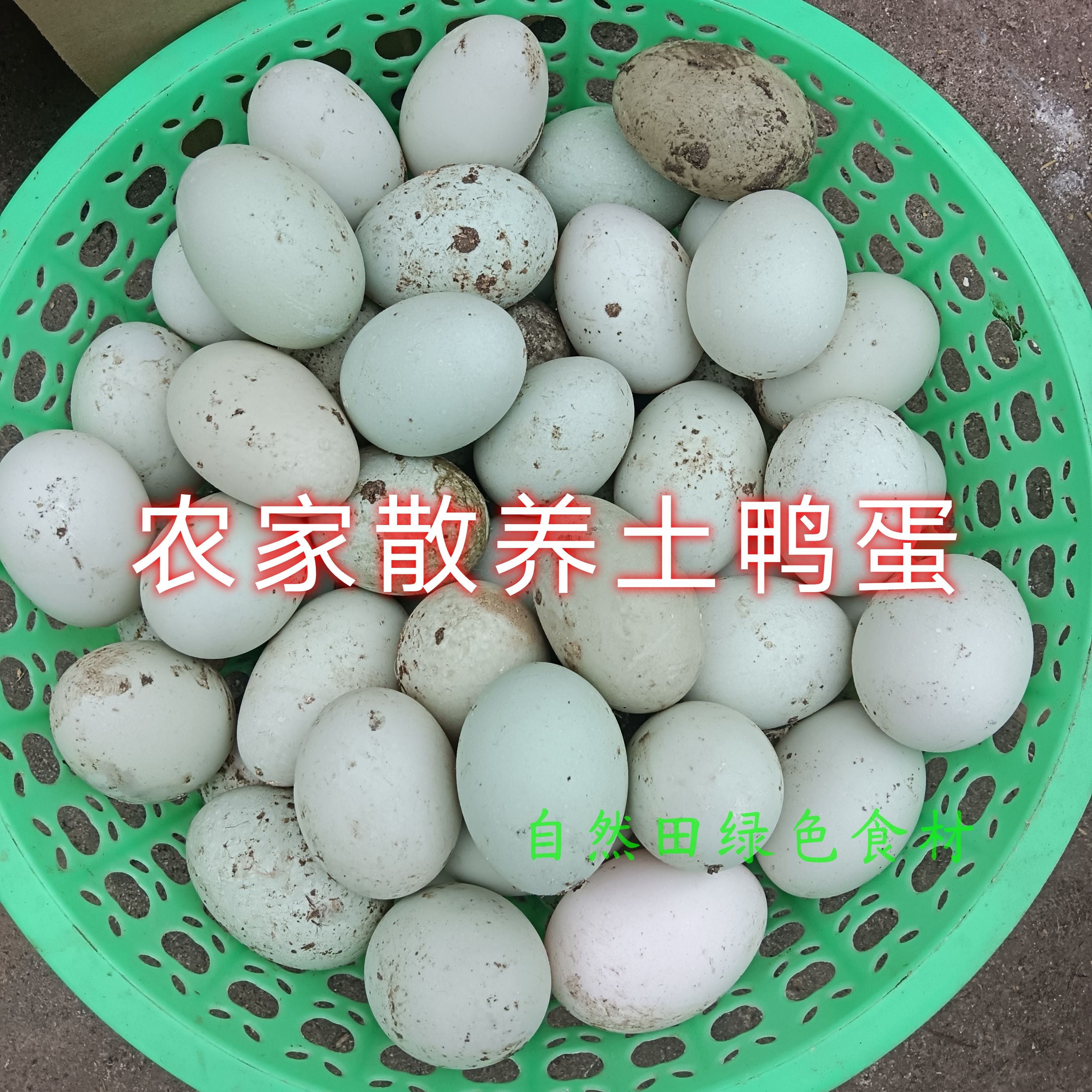 农家放养土鸭蛋本地老品种小麻鸭绿壳鸭蛋全粮野菜自然放养