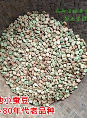 本地老品种小蚕豆7-80年代老式非转米胡豆农家自留老品种干蚕豆