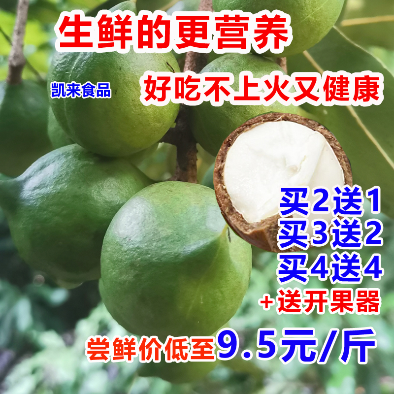 【坏1赔3】云南新鲜夏威夷果原味生果澳洲坚果干果无添加孕妇可食
