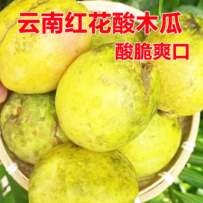 云南特产老品种红花新鲜酸木瓜酸脆爽口 可泡酒生吃炖木瓜鸡