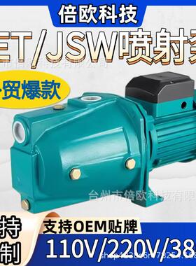 家用自吸喷射泵高扬程外贸JSW/DP/JDW自吸泵110V/220VJET喷射泵