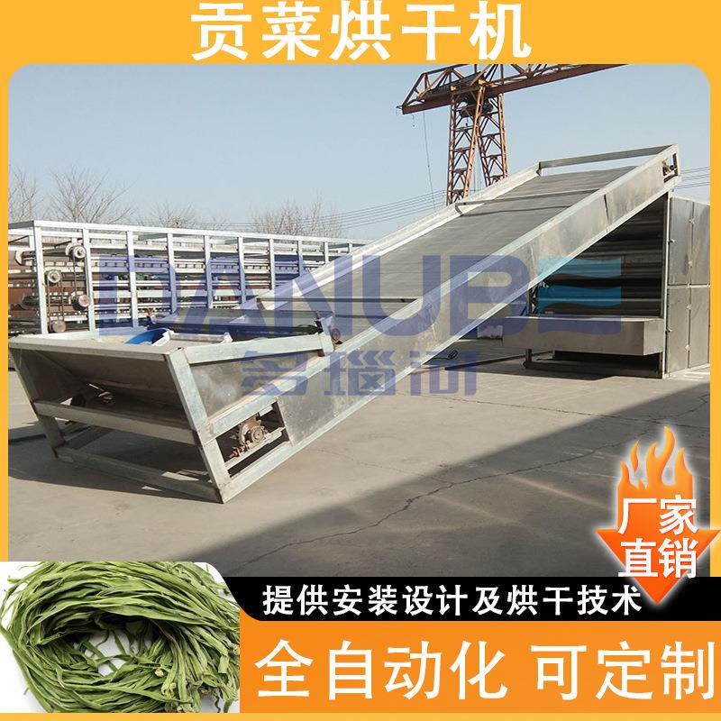 蔬菜类干燥机大型贡菜清洗去皮切条烘干全套设备网带贡菜烘干机