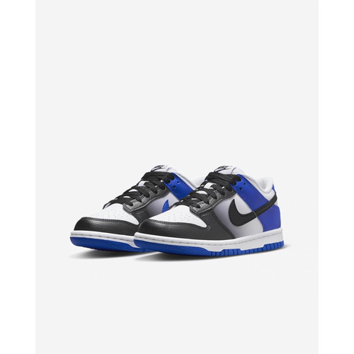 耐克Nike Dunk Low (GS) 男女防滑轻便休闲运动板鞋 HJ9209-400