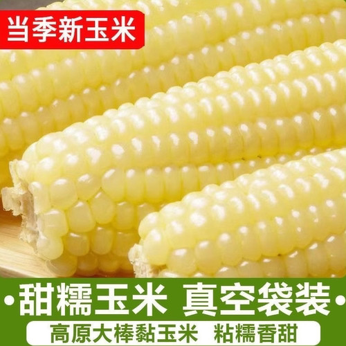 真空包装早餐代餐粘玉米产地直发