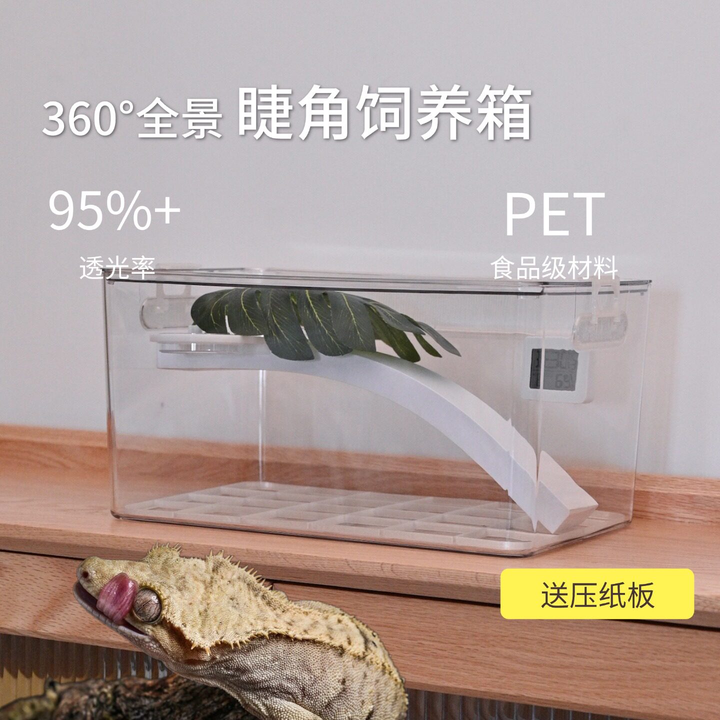 睫角守宫饲养箱睫角饲养箱睫角造景睫角攀爬架睫角饲养盒盖勾亚