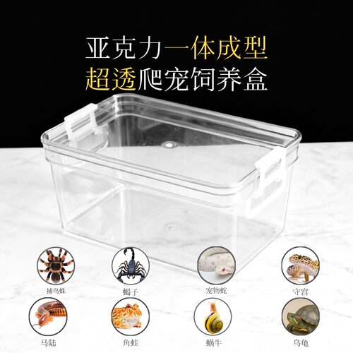 爬宠亚克力饲养盒爬虫宠物蜘蛛蝎子马陆蜗牛蜥蜴角蛙蛇守宫饲养箱