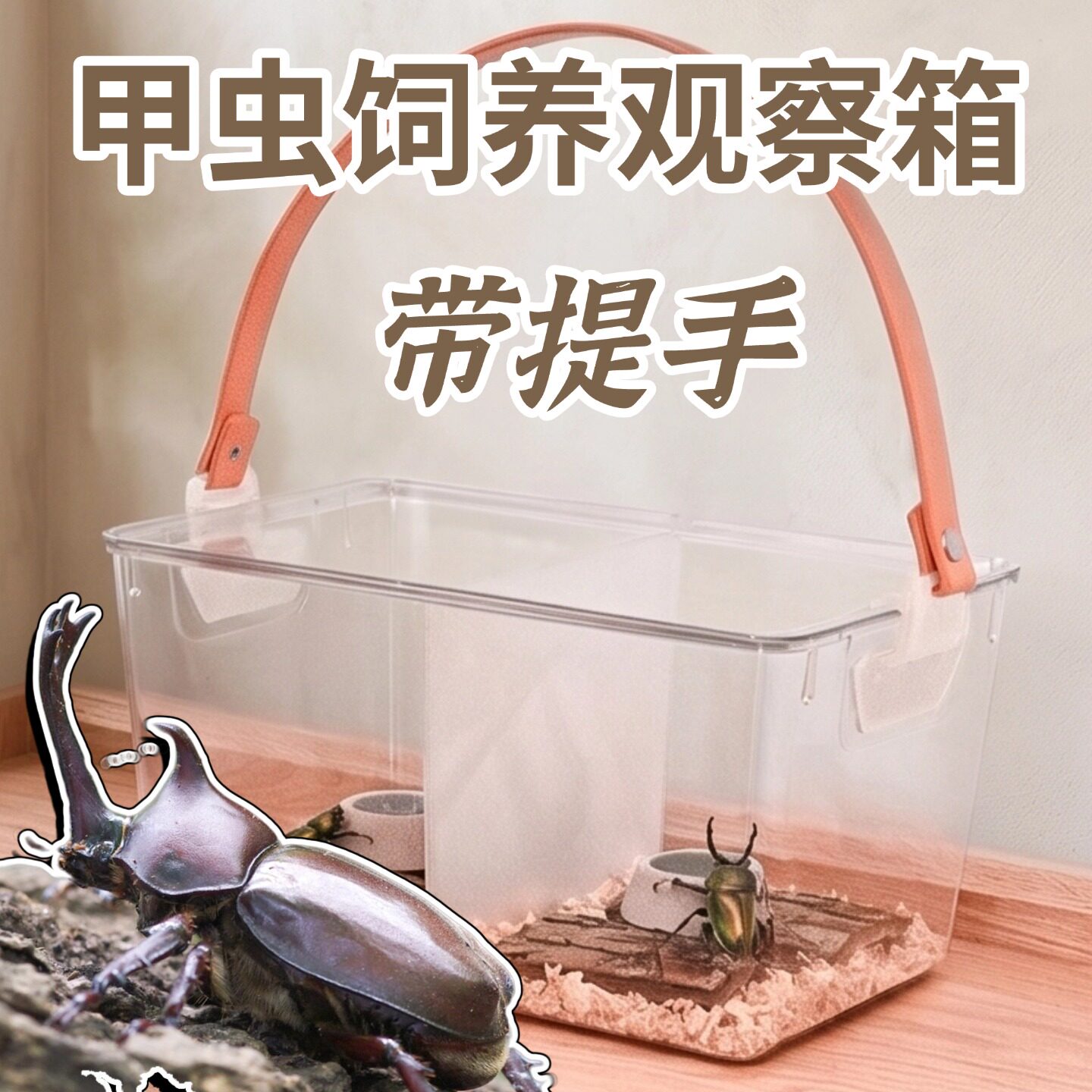 超透明带提手甲虫饲养箱图片