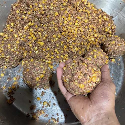 5斤桶装发酵玉米大物窝料小麦老坛五谷杂粮野钓鲫鱼草鱼鲤鱼饵料