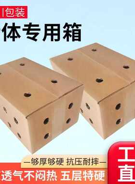 打孔纸箱大枕笼小枕笼圆孔透气鸟笼宠物鸽子猫咪仓鼠超厚开孔纸箱