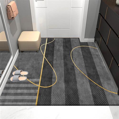 可裁剪进门脚垫入户门口地垫吸水防滑浴室门垫子家用免洗客厅地毯