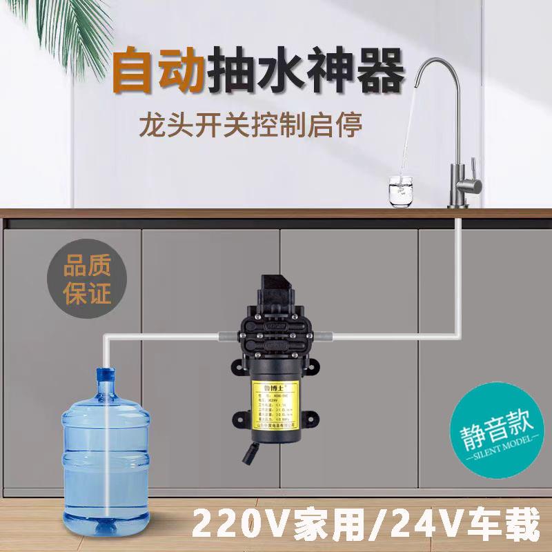 厨房台下桶装水饮用水纯净水抽水器吸水器静音电动上水泵家用车载