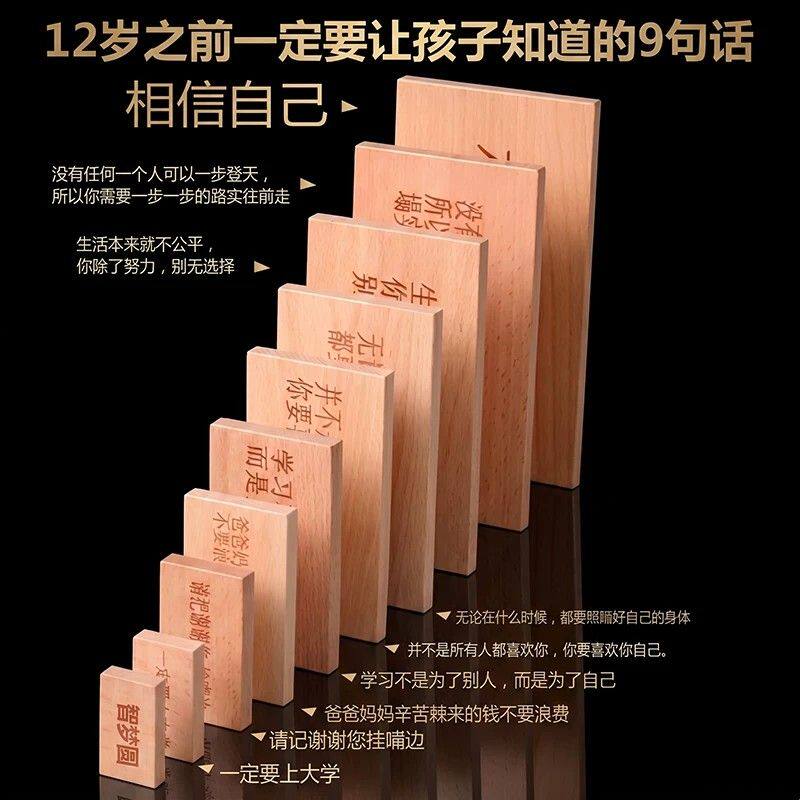 创意木制积木礼物 儿童多米诺骨牌玩具 毛手毛脚榉木积木
