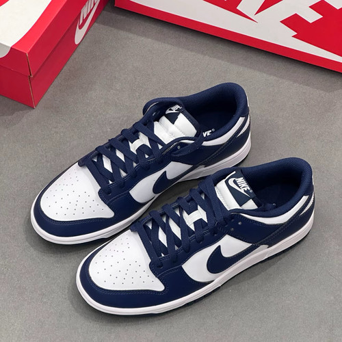 Nike男鞋白蓝轻便百搭低帮休闲运动板鞋HF5441-107