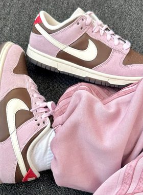 Nike Dunk 低帮 板鞋男女同款 紫褐色防滑耐磨百搭板鞋HM0987-200