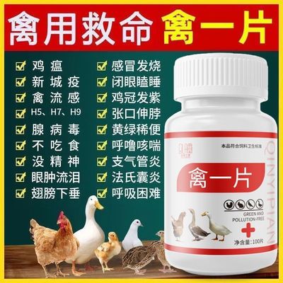 禽一片正品养鸡鸭鹅鸡药