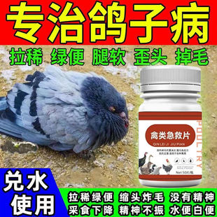 专用鸽子鸽瘟甩头歪脖没精神拉稀绿便新城疫抗病毒鸽瘟药专治鸽子