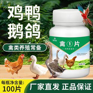 鸡药特快正品禽一片禽类鸡鸭鹅兽药治百病强效禽类急救包急救片