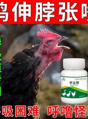 家禽鸡鸭鹅伸脖张口啰音怪叫呼噜气喘呼吸困难鸡药特快呼吸道疾病