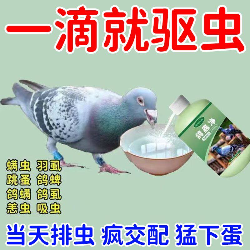 鸽虫清毛滴虫赛鸽信鸽肉鸽内外驱虫鹦鹉鸟用养鸽常备鸽子专用品