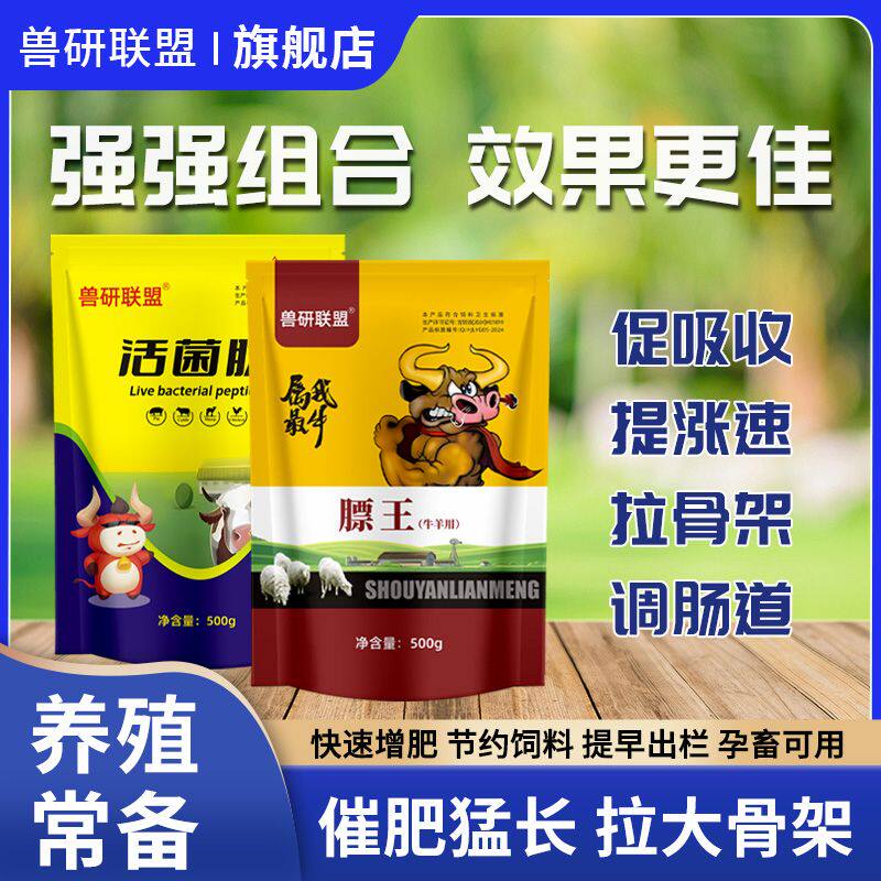 膘王活菌肽正品牛羊快速