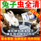 全虫清兔子驱虫药体内外一体打虫药常用常备药预防球虫宠物兔虫清