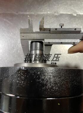 新款HP-29 47 18 SEW减速机轴端润滑油泵LU2 SHP齿轮油泵TYPE包邮