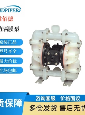 新款SANDPIPERS1FB3P2PUS000耐腐蚀泵S20B1ANNABS000气动隔膜包邮