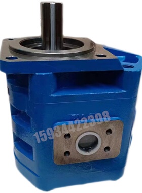 新款高压双联齿轮泵CBGJ2080 2100 2032 2063 2050 2040 CB-J包邮