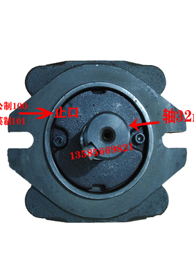 新款NBZ3-G25F G20F G32F NBZ2-G16F G12F G10F 内啮合齿轮泵包邮