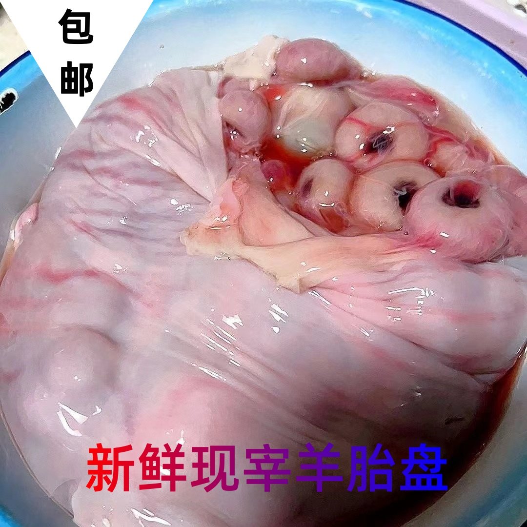 新鲜羊胎衣羊胎盘8斤整个不含羊崽不带胎水速冻磨粉羊胎新鲜滋补