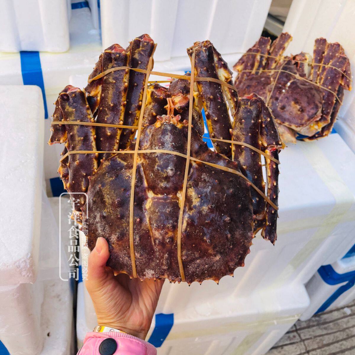 顺丰俄罗斯生冻帝王蟹4斤多点一只年货海鲜帝王蟹