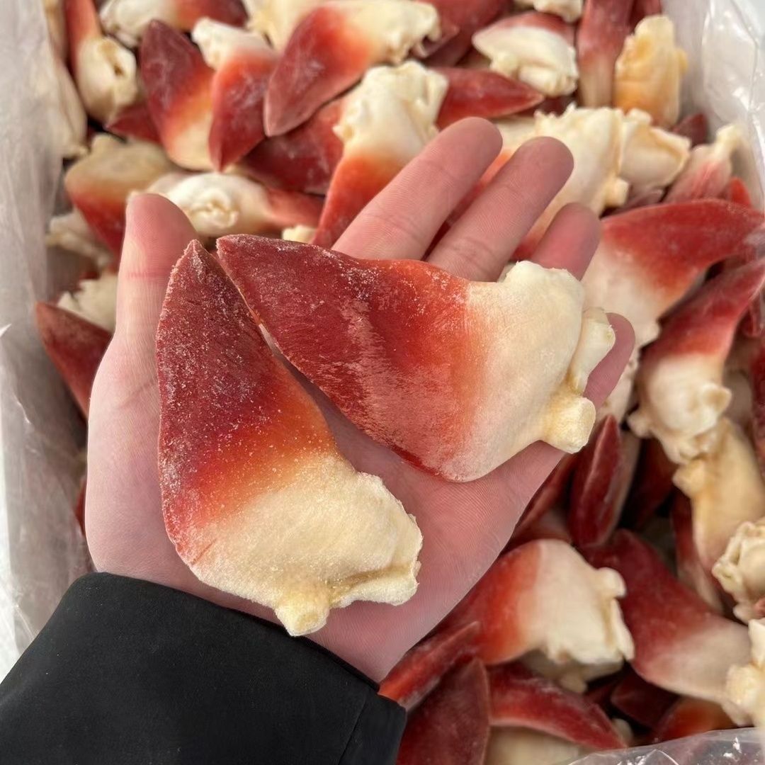 俄罗斯风味海鲜大号北极贝散装刺身拼盘即食包邮