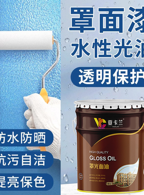 水性罩面漆艺术漆室内墙面乳胶漆保护漆防水透明水性哑光罩面油漆