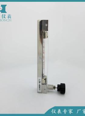 供应 定LNSKZ制计B-4D不KFF锈钢玻璃转子流量 常州厂家直销