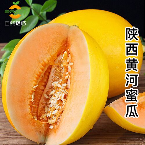 自然搭档头茬黄河蜜瓜8