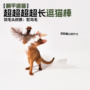 猫咪玩具 元 鸵鸟毛杆身柔软 逗猫棒加长1.6m 多色可选 更元
