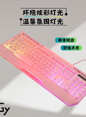 努技静音游戏电竞粉色黑色有线台式笔记本办公高颜值新款通用键盘