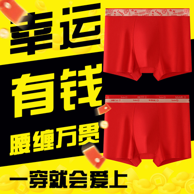 寻金鼠红色男士四角裤