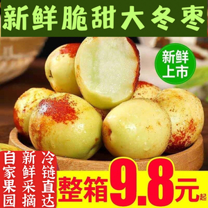 陕西大荔冬枣新鲜5斤大果脆甜红枣青枣孕妇当季水果整箱包邮现摘